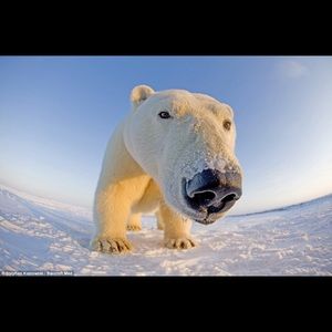 Meet your Posher, Tyson